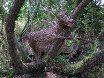 Photograp of a willow gragon in a wood